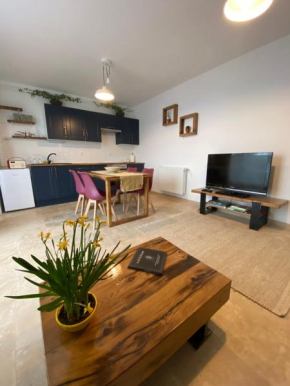 Helga’s Place Premium 1 bedroom condo